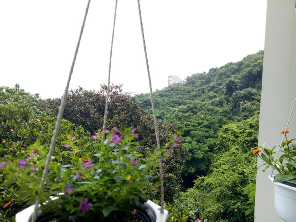 Lam Son Hotel & Apartments فونج تاو المظهر الخارجي الصورة
