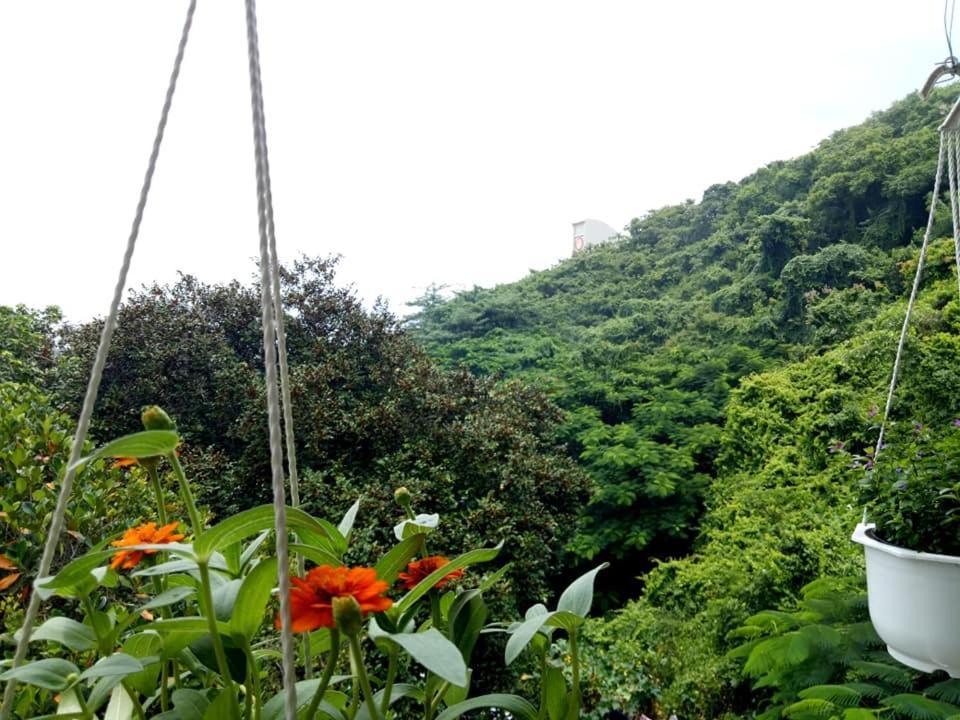 Lam Son Hotel & Apartments فونج تاو المظهر الخارجي الصورة